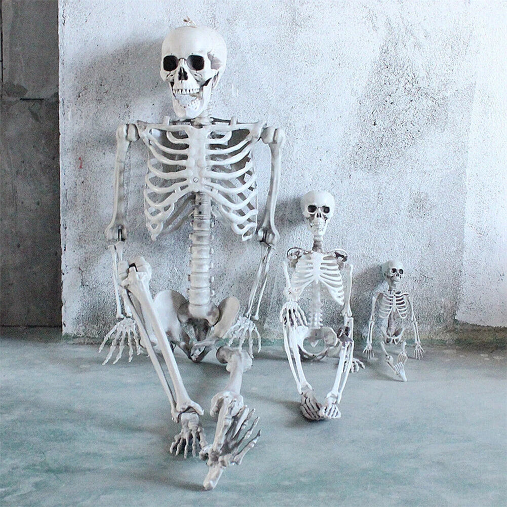 Halloween Posable Skeleton β Full-Size Realistic Body Bones with Movable Joints | Spooky Cove