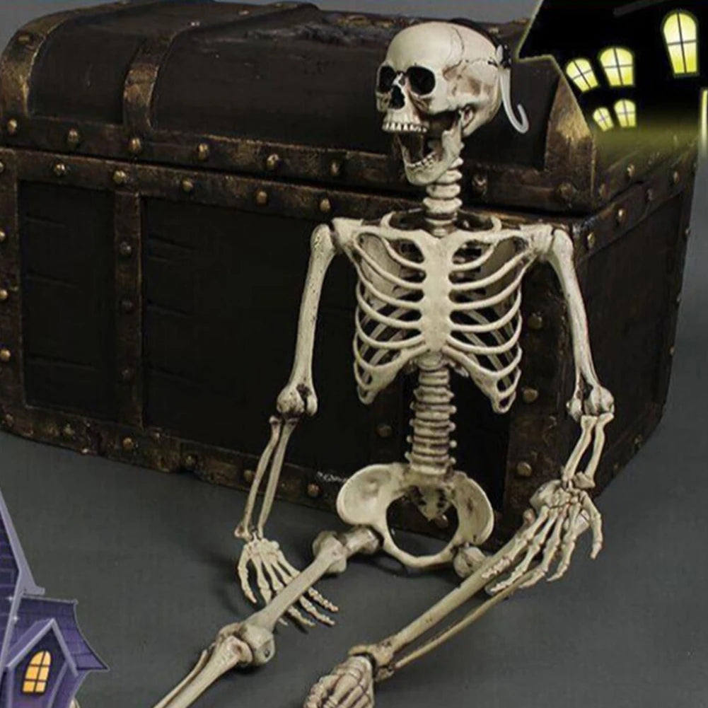 Halloween Posable Skeleton β Full-Size Realistic Body Bones with Movable Joints | Spooky Cove