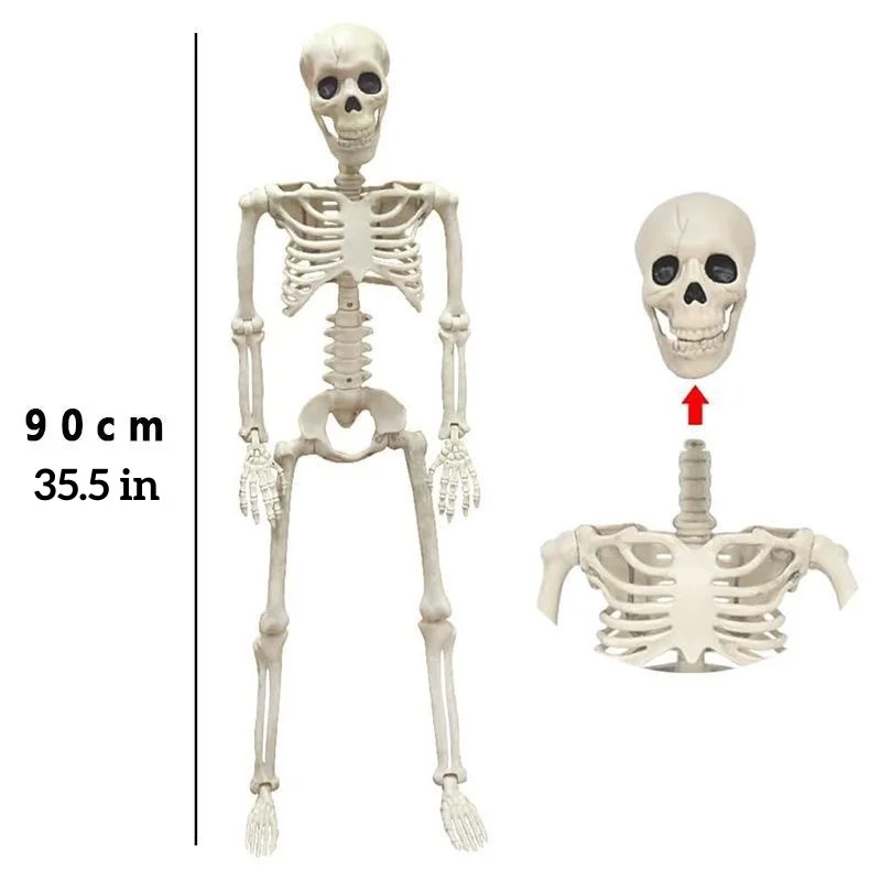 Halloween Skeleton Decoration – 40cm/90cm Full Body Human Skeleton with Movable Joints, Hanging Posable Bones for Haunted House & Party Décor