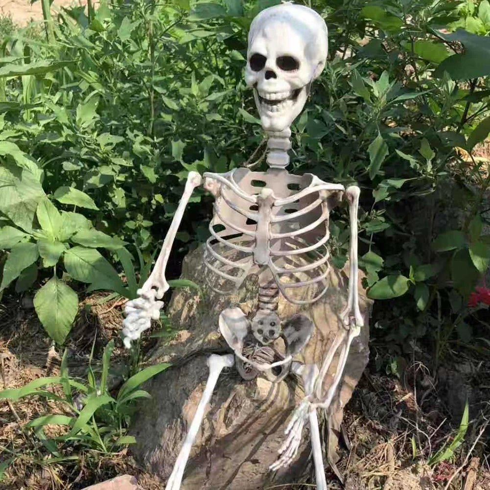Halloween Posable Skeleton – Full-Size Realistic Body Bones with Movable Joints | Spooky Cove