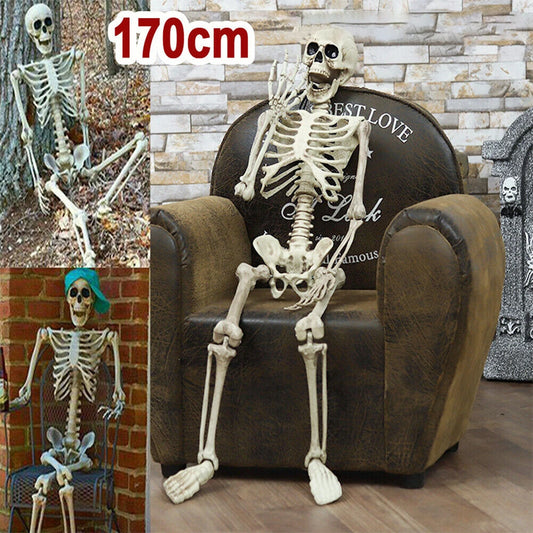 Halloween Posable Skeleton – Full-Size Realistic Body Bones with Movable Joints | Spooky Cove